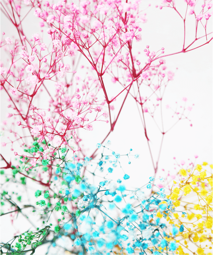 プリザーブドフラワーのイメージ写真