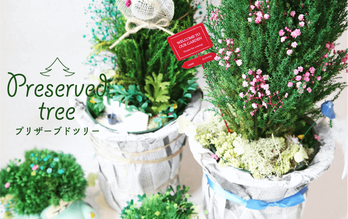 プリザーブドツリー