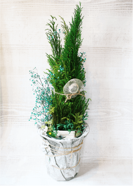 株式会社アクモリリーのプリザーブドツリーの商品写真