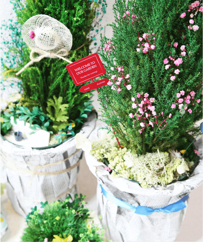 プリザーブドツリーのイメージ写真